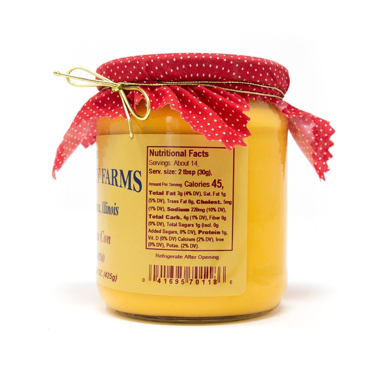 Salsa Con Queso Dip - 15 oz