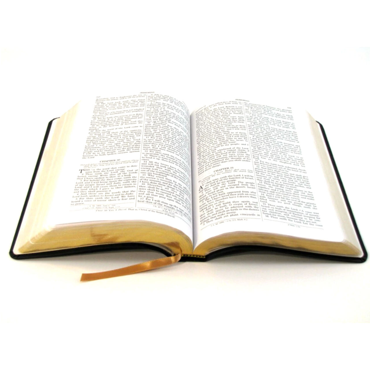 Catholic Bible || Burgundy Ultrasoft Leatherette - Douay-Rheims Translation