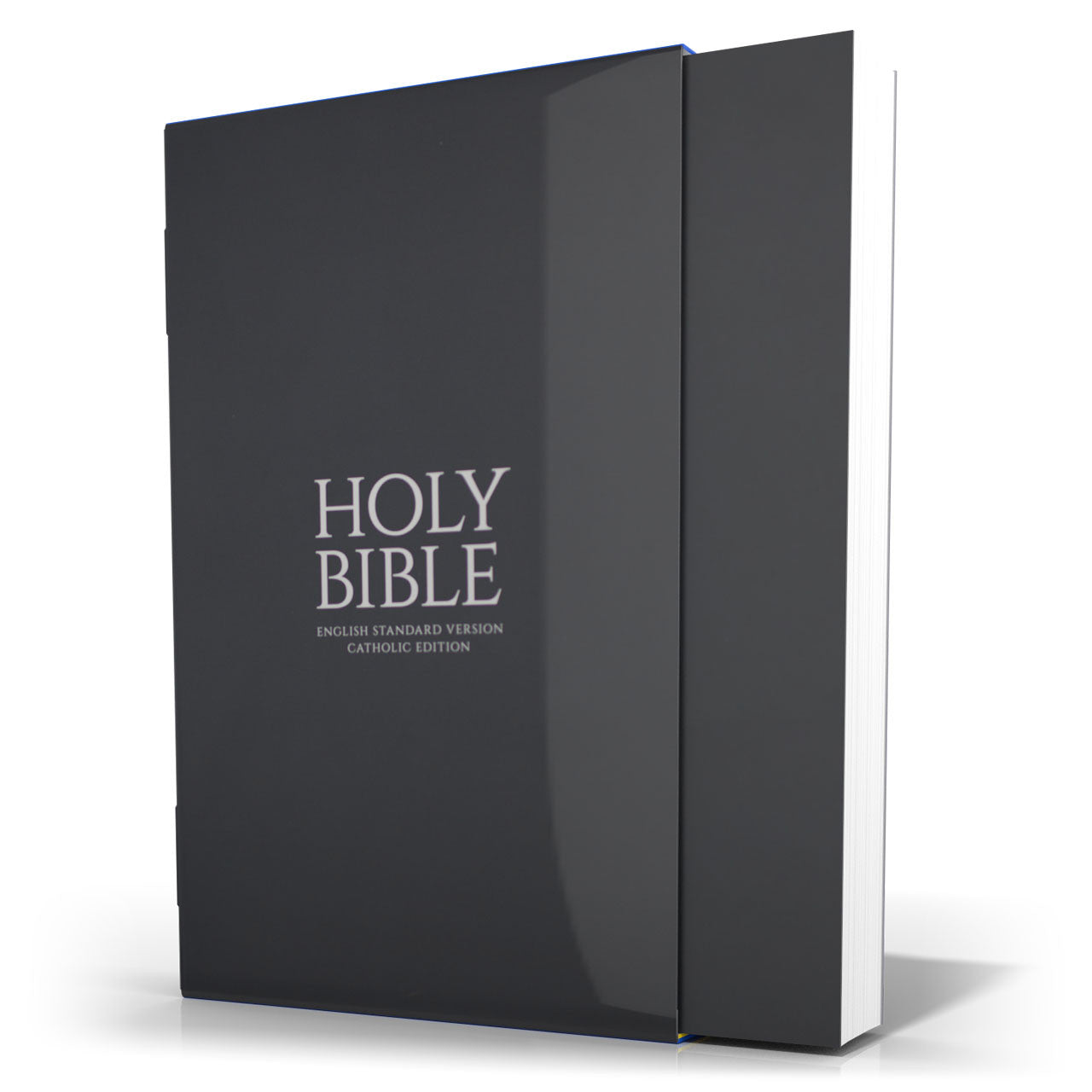 Catholic Bible || Grey Paperback - English Standard Version Catholic Edition