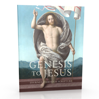 Genesis to Jesus Participant Workbook