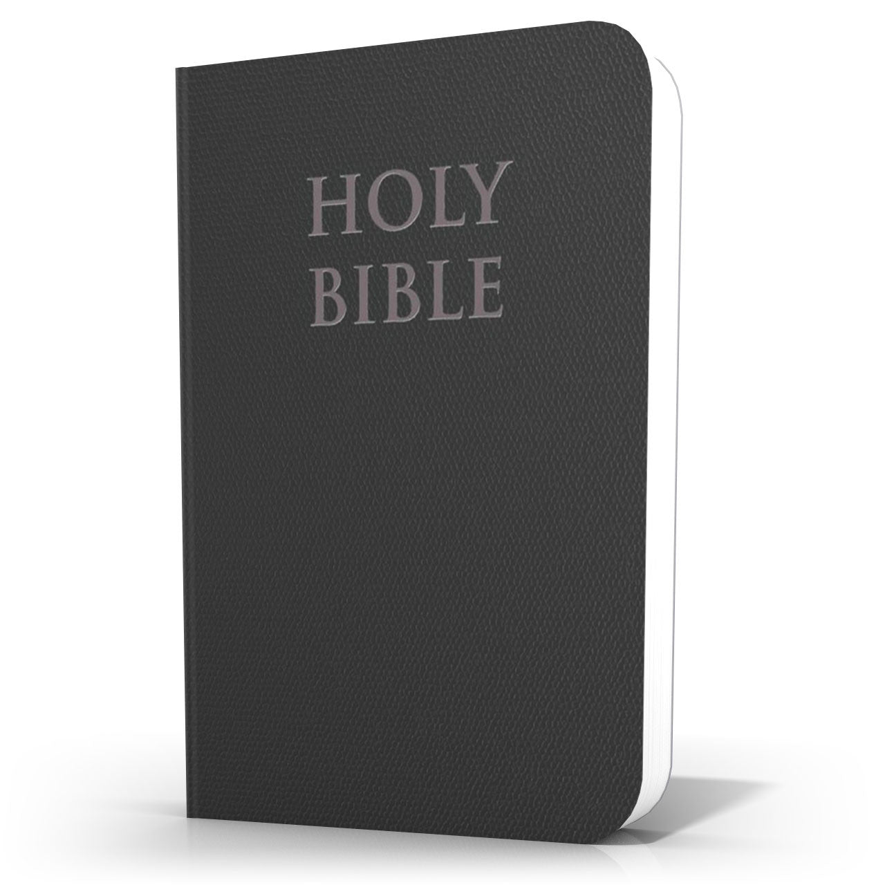 Catholic Bible || Black Ultrasoft Leatherette - New American Bible Revised Edition