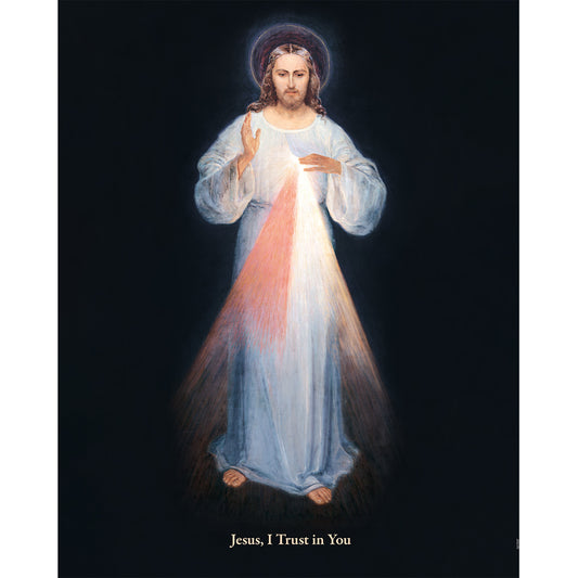 Divine Mercy (Vilnius) - Canvas Print - 16" x 20" - Rays of Mercy