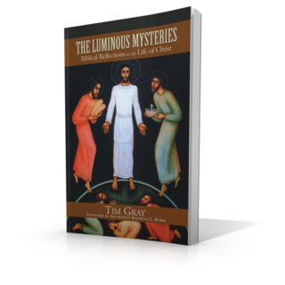 The Luminous Mysteries: Biblical Reflections on the Life of Christ
