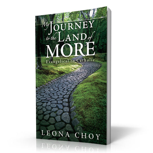 My Journey to the Land of More