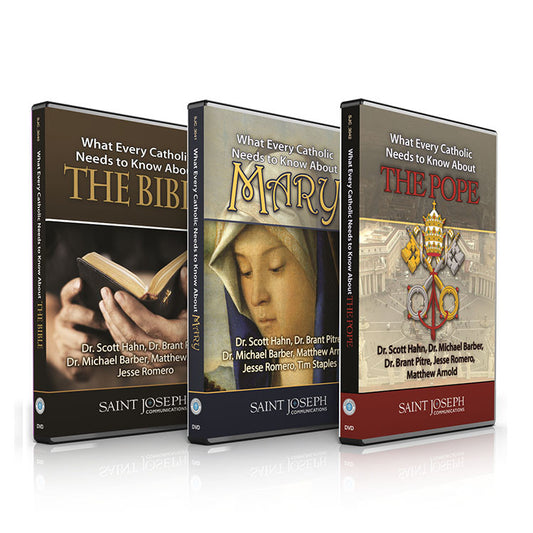 What Every Catholic Needs to Know Bundle